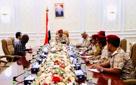 نائب رئيس الأركان يبحث تدخلات الصليب الأحمر الطبية والإنسانية في اليمن