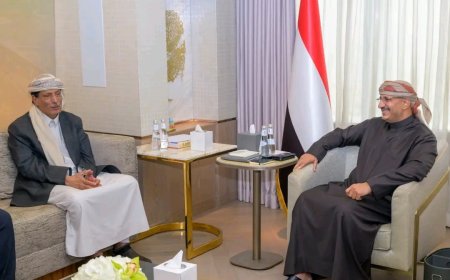 عضو مجلس القيادة طارق صالح يناقش اوضاع محافظة المهرة