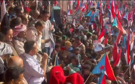 الحالمي في مليونية الثبات والتصعيد: نعلن رفضنا لتواجد أي قيادة شمالية على أرض الجنوب