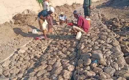 التركي وبغـازي يقودان نهضة زراعية في لحج.. إشادة واسعة بسير العمل في مشروعي سد لفيح والفقيه