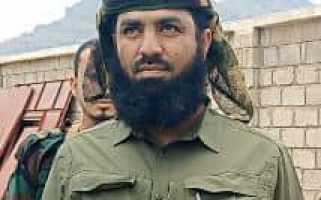 قوات الأمن الوطني (الحزام الأمني) والشرطة.. كتلة الحواشب الصلبة