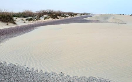 الرمال المتحركة خطر يهدد حياة المسافرين على الطريق الساحلي بمديرية رضوم في شبوة