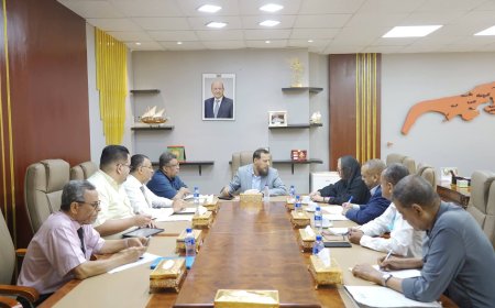 محافظ عدن يناقش مع مديرة مكتب "اليونيسف" سُبل تعزيز الشراكة لدعم الطفولة