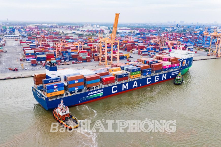 الاستقلال الاستراتيجي لفيتنام يبلغ آفاقًا جديدة