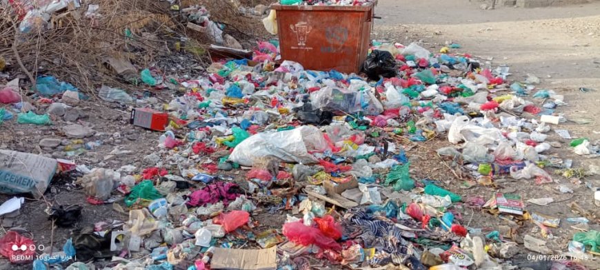 انتشار القمامة في حي المثلث وإهمال متعمد يؤدي إلى تكاثر الحشرات