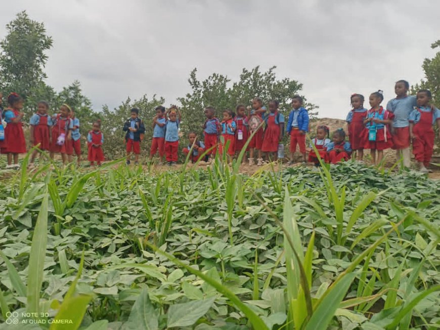 أبين.. رحلة ترفيهية لأطفال روضة الفتح بالمسيمير خنفر.  