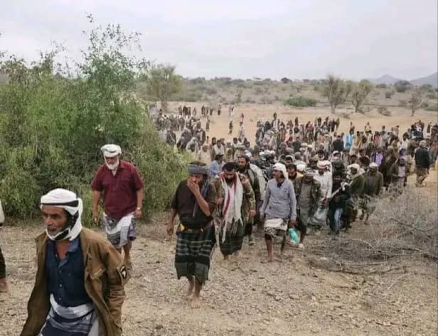 رحيل شاعر الثورة الجنوبية والمناضل الكبير علي امناصري بعد مسيرة حافلة بالنضال والعطاء