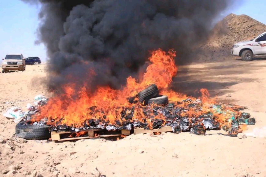 نيابة المنطقة العسكرية الثالثة تُتلف أكثر من 300 كجم من الحشيش