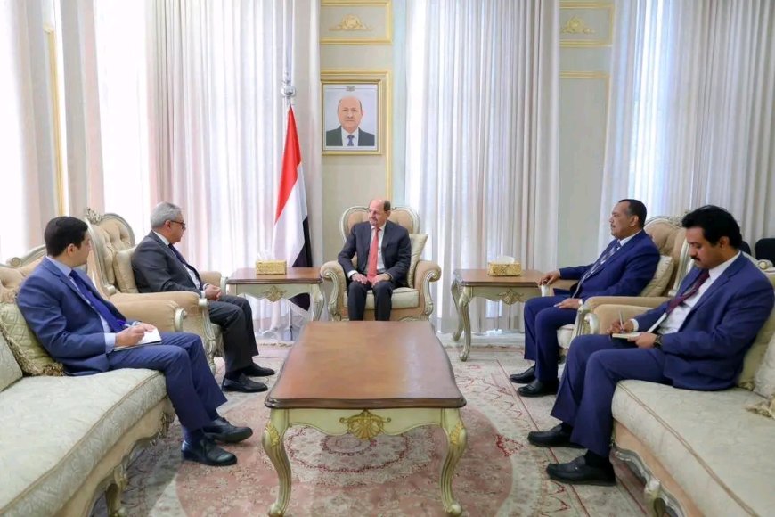 رئيس الوزراء يستقبل السفير المصري لدى اليمن