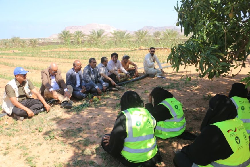 وفد وزارة الزراعة يقوم بزيارة ميدانية إلى مزرعة معنوفة بسقطرى