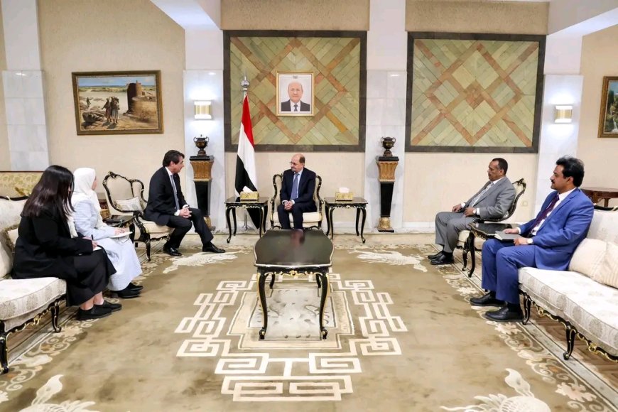 رئيس الوزراء يستقبل سفير البرتغال غير المقيم لدى اليمن
