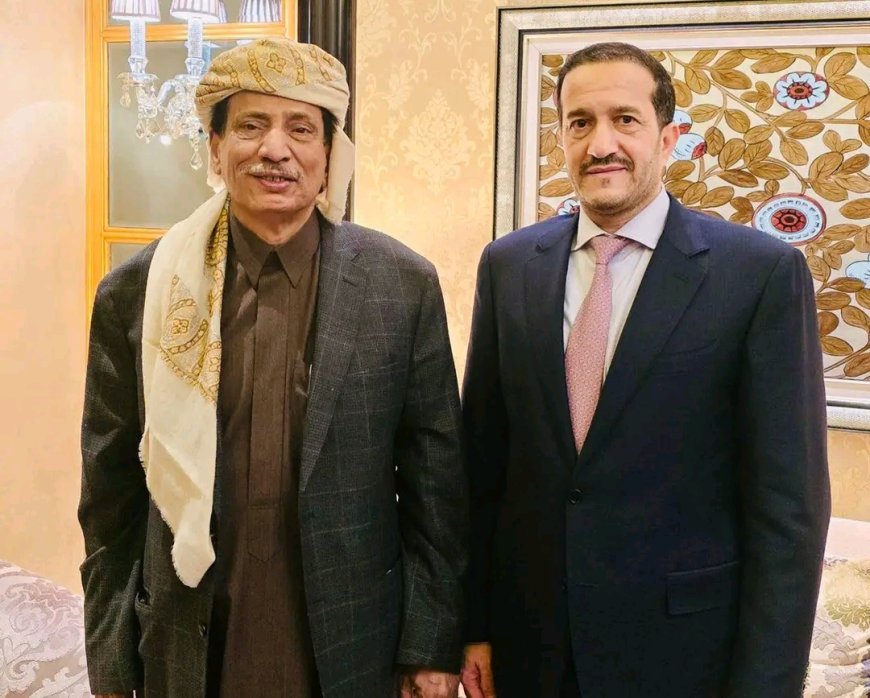 عضو مجلس القيادة الرئاسي عثمان مجلي يشيد بجهود محافظ المهرة