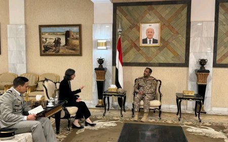 رئيس الأركان يبحث أوجه التعاون والدعم العسكري مع سفيرة فرنسا