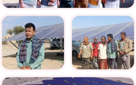 بقدرة إنتاجية 2 ميجاوات.. الشيخ الهاظل يتفقد اكتمال المرحلة الأولى لمشروع الطاقة الشمسية بشقرة
