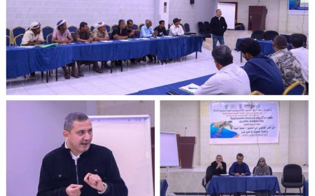 مركز رؤى للدراسات يدشن في عدن دورة بيئية متخصصة لحماية السلاحف