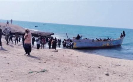 مدير مكتب إعلام رضوم: وصول أكثر من 650 مهاجرًا غير شرعي إلى سواحل المديرية