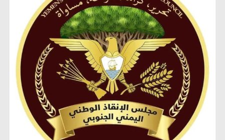 مجلس الإنقاذ الوطني اليمني الجنوبي يُعيد هيكلة دوائره التنظيمية والإعلامية والعلاقات العامة