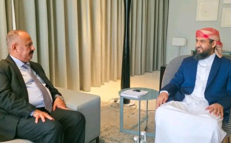 المحرّمي يلتقي وزير النقل ويؤكد أهمية تطوير القطاع وتعزيز كفاءته