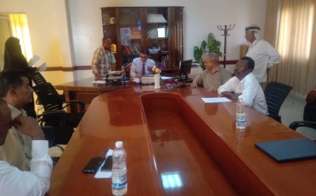 مدير عام مكتب الصحة العامة والسكان بلحج يناقش مع منظمة كونسيرن تدخلاتها بالمحافظة
