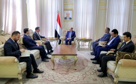 رئيس الوزراء وزير الخارجية يستقبل القائم بأعمال السفارة التركية لدى اليمن