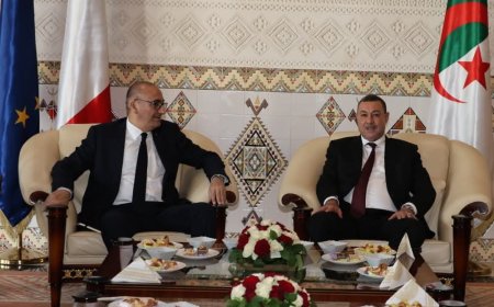 وزير الداخلية الفرنسي يصل إلى الجزائر