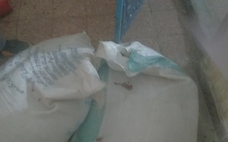 بتوجيهات من المدير العام.. لجنة مختصة تتلف مواد غذائية تالفة بمستشفى الأمراض النفسية وتوصي بمكافحة القوارض