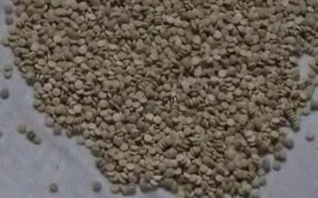 كتيبة أمن منفذ الوديعة تُحبط تهريب آلاف الحبوب المخدرة المتجهة للسعودية