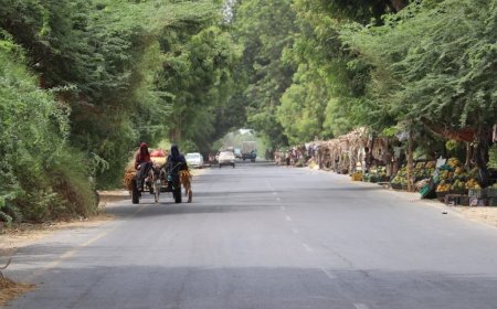 بعد انقطاع مرتباتهم لأربعة أشهر.. عمال محلج القطن بأبين يطلقون مناشدة عاجلة للمحافظ لصرف رواتبهم المتأخرة