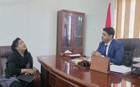 وزير حقوق الإنسان يبحث مع مديرة مركز سيفيك سبل تعزيز حماية المدنيين خلال النزاعات المسلحة