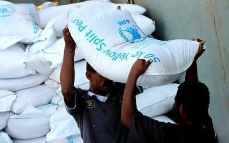 الغذاء العالمي يستأنف توزيع المساعدات في مناطق الحكومة بعد تقليص عدد المستفيدين بنسبة 50% 