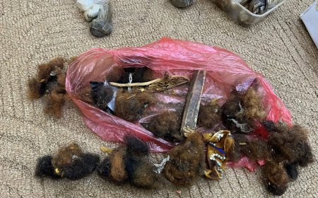 شرطة شبوة توضح للرأي العام بشأن قضية السحرة والمشعوذين