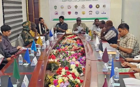 المهرة تتأهب لانطلاق النسخة الثانية من بطولة "أبطال المهرة" لكرة القدم