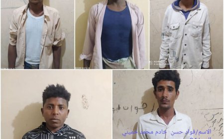 ضبط 7 متهمين بالاعتداء على طفل وتعـذيبه في مديرية المغلاف بالحديدة