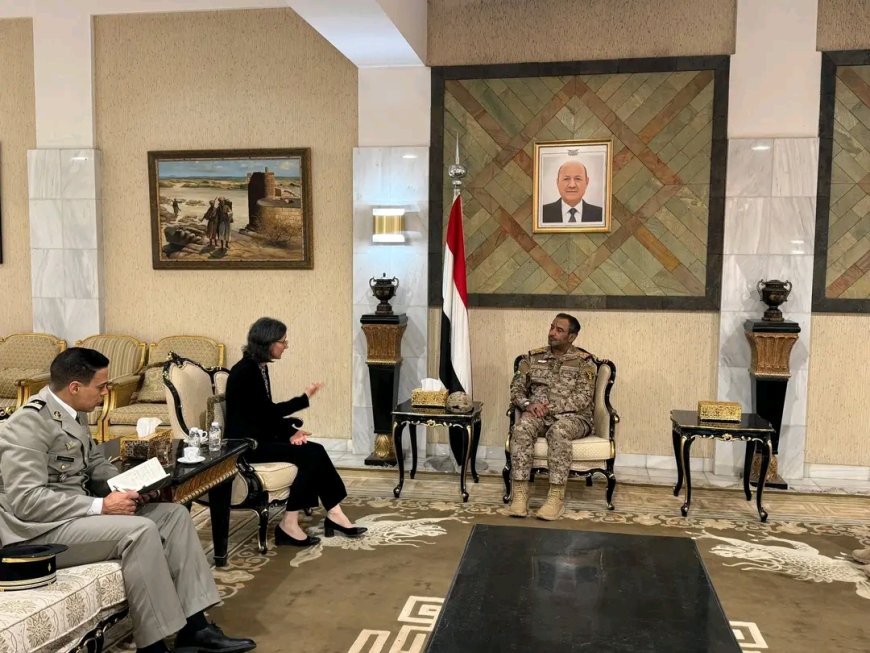 رئيس الأركان يبحث أوجه التعاون والدعم العسكري مع سفيرة فرنسا