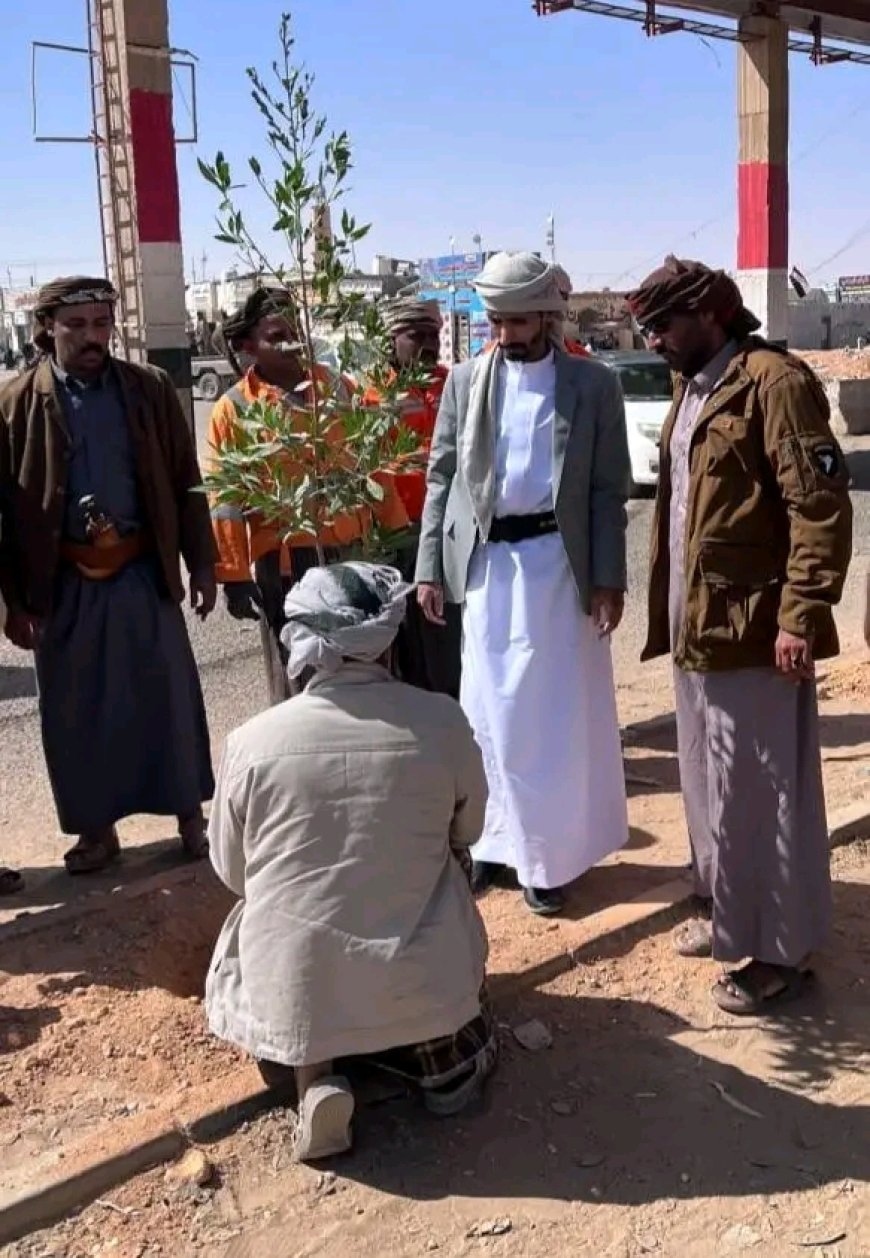 تدشين مشروع تشجير وتزيين الشوارع لتحسين المظهر الحضاري بمديرية العبر