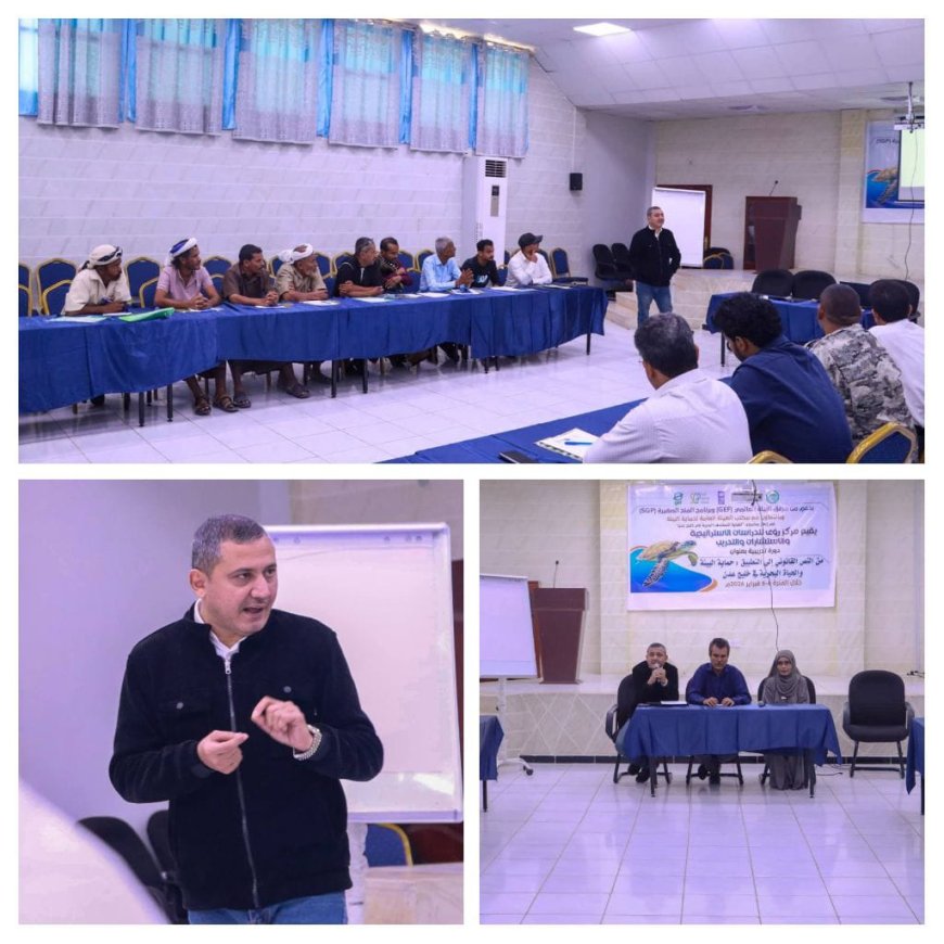 مركز رؤى للدراسات يدشن في عدن دورة بيئية متخصصة لحماية السلاحف