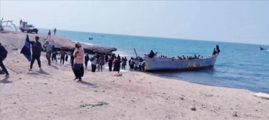 مدير مكتب إعلام رضوم: وصول أكثر من 650 مهاجرًا غير شرعي إلى سواحل المديرية