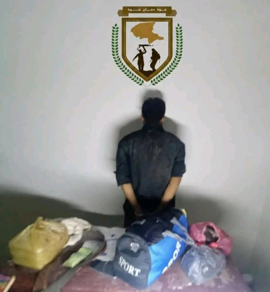 قوات دفاع شبوة تضبط احد المطلوبين أمنياً على ذمة قضية سرقة سيارة