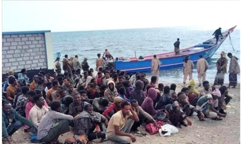 مدير إعلام رضوم: 180 مهاجرًا إثيوبيًا يصلون إلى سواحل المديرية ونداء عاجل للحكومة لمواجهة أزمة الهجرة غير القانونية