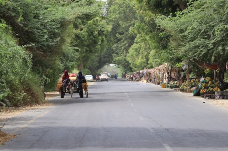 بعد انقطاع مرتباتهم لأربعة أشهر.. عمال محلج القطن بأبين يطلقون مناشدة عاجلة للمحافظ لصرف رواتبهم المتأخرة