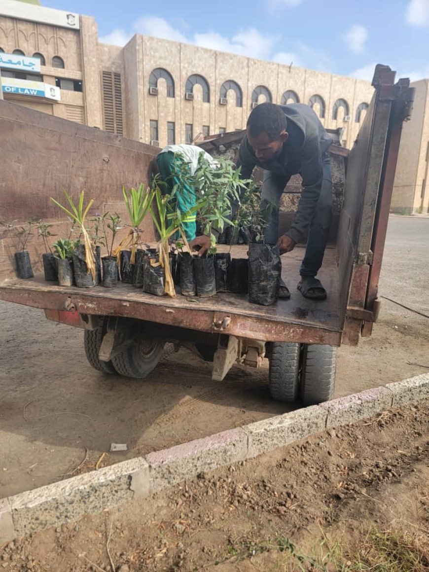 شراكة خضراء تعزز البيئة التعليمية في كلية الحقوق بجامعة عدن