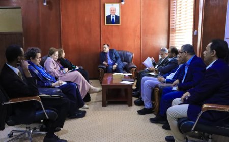 الوزير السقطري يبحث مع البرنامج الإنمائي مستوى تنفيذ التدخلات الزراعية والسمكية في بلادنا 