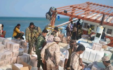 قوات العمالقة الجنوبية تضبط قارب تهريب قادم من ميناء بندر عباس الإيراني