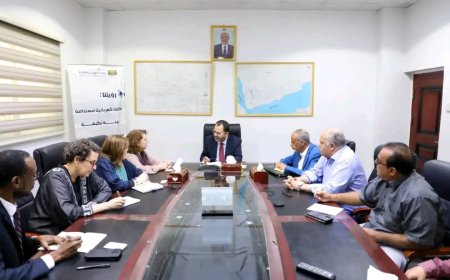 وزير الكهرباء يبحث مع البرنامج الإنمائي تعزيز التعاون في مشاريع الطاقة المتجددة