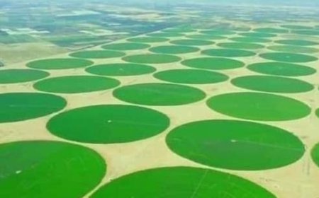 جهاز مستقبل مصر يسابق الزمن لاستصلاح 660 ألف فدان جنوب الداخلة