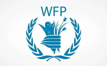 "الفاو" تعلن ارتفاع أسعار الغذاء العالمية في فبراير