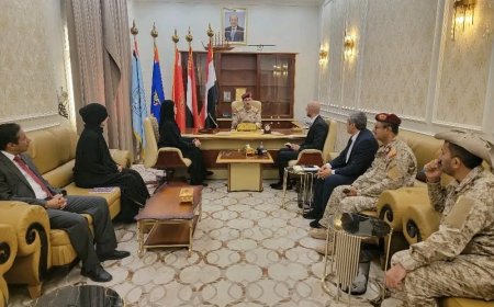 وزير الدفاع يبحث مع الصليب الأحمر تعزيز التعاون الإنساني