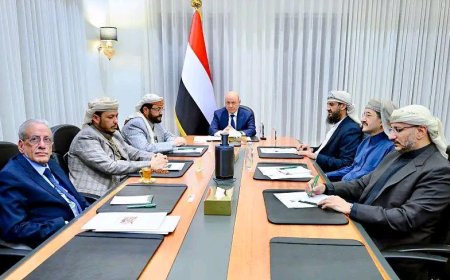 مجلس القيادة يؤكد دعمه الكامل للبرنامج الحكومي ويشدد على رفع الجاهزية في مواجهة متغيرات المرحلة