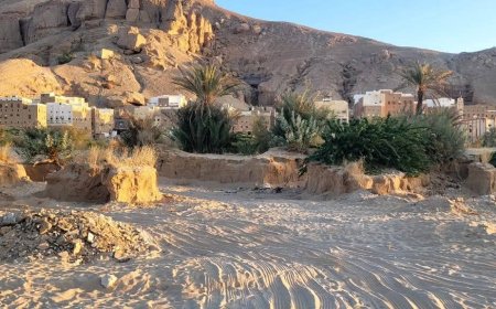 مخاوف بيئية وصحية بسبب أعمال التجريف غرب شبام التاريخية