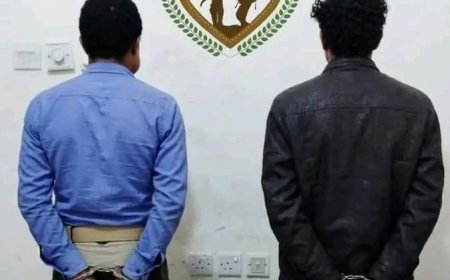 في إنجاز أمني جديد.. اللواء الثاني دفاع شبوة يلقي القبض على مطلوبين بجرائم إرهابية وتفجيرات